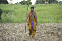 Mogudu New Stills